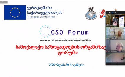 Онлайн встреча форума организаций гражданского общества