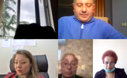 Online consultative meetings for the organizations of Imereti 