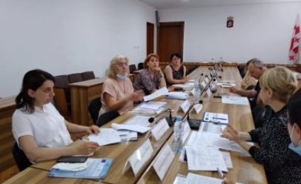 Meeting of the working group in Terjola Sakrebulo 